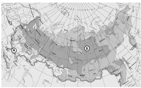 Природные зоны России контурные карты а4