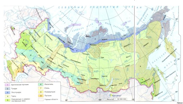Раскрашенная карта природных зон России