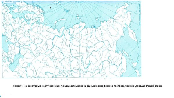 Природные зоны России контурная карта