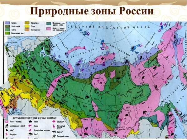 Карта природных зон России 8кл