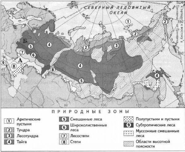 Карта природных зон России с названиями природных зон