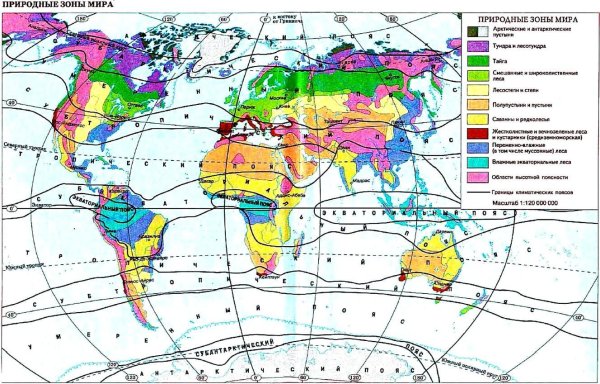 Географическая карта мира с природными зонами