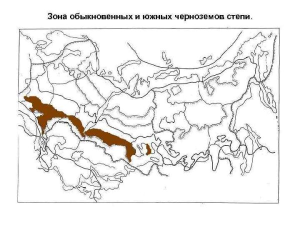 Границы почв на карте России