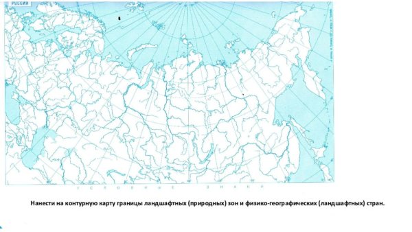 Контурная карта природных зон России 4 кл