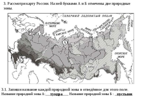 Карта природных зон России 4 класс окружающий мир