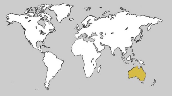 Карта мира черно белая