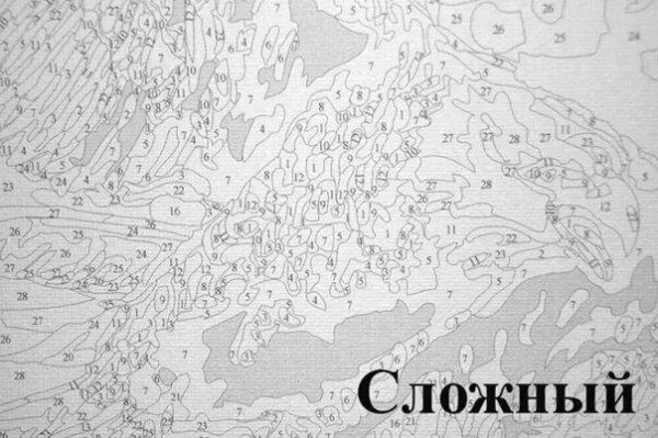 Картины по номерам сложные