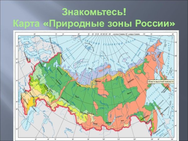 Карта природных зон России