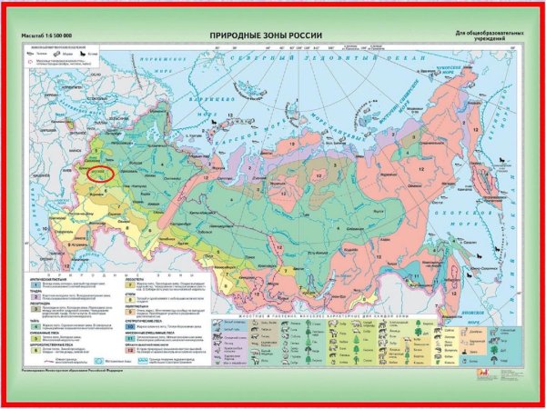 Карта природных зон России 4