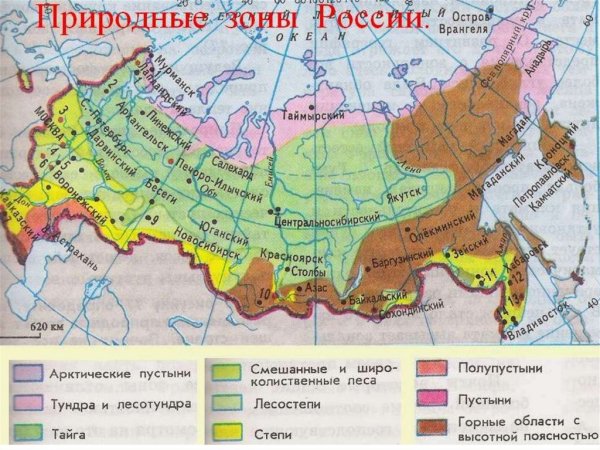 Название природных зон России 4 класс окружающий мир