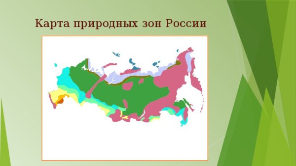 Карта природных зон России 4 класс окружающий мир ВПР
