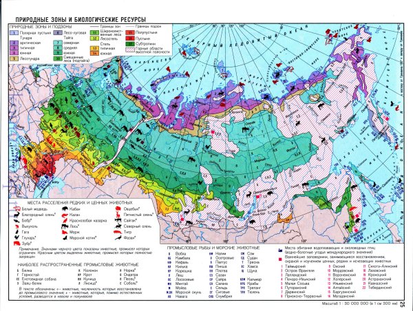 Географическая карта России с природными зонами
