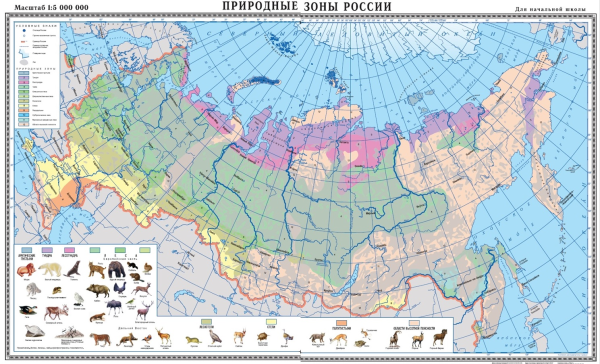 Карта природных зон России 2022