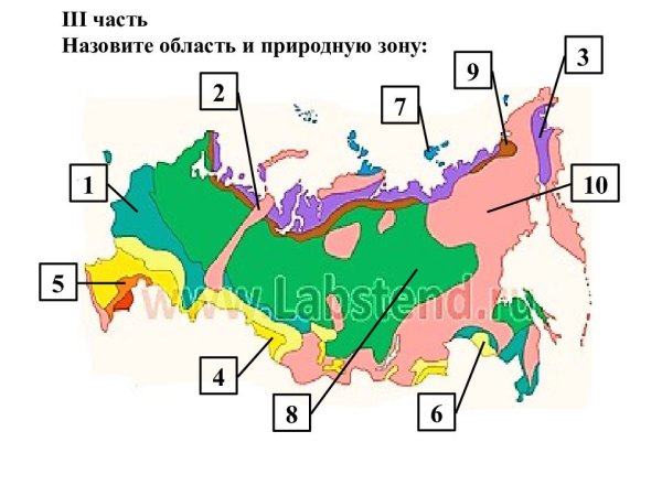 Карта природных зон России с названиями природных зон