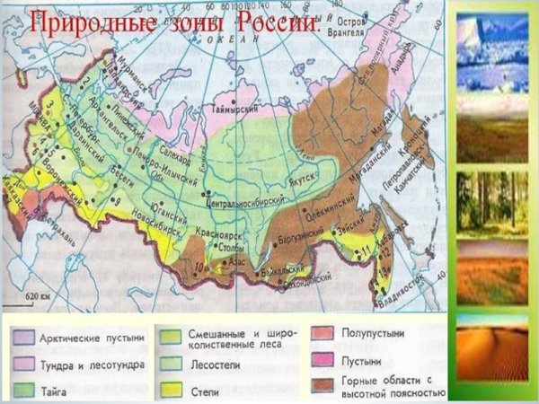 Карта природных зон России 4 класс