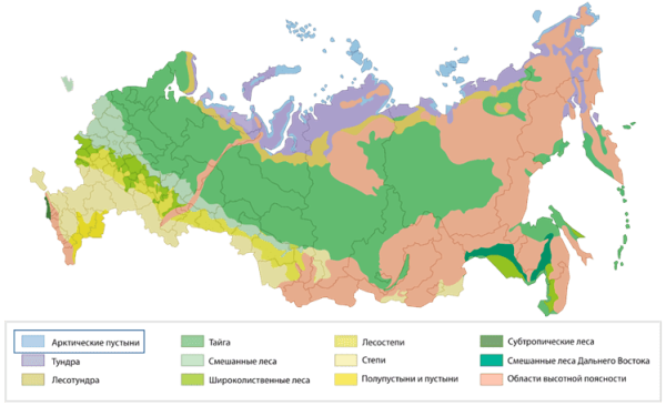 Арктические пустыни на карте природных зон России