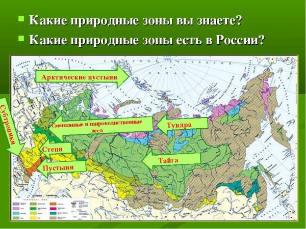 Карта природных зон России 4 класс окружающий мир