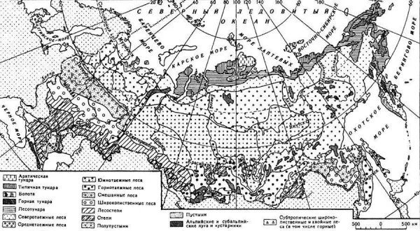 Карта природных зон России чб