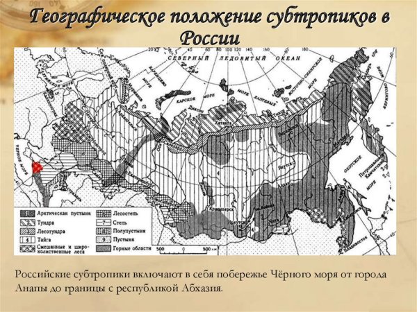 Природные зоны России 4 класс окружающий мир черно белая карта