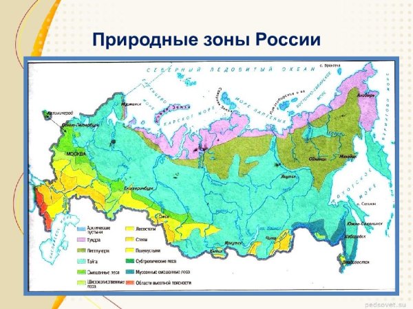 Карта природных зон мира 4 класс окружающий мир
