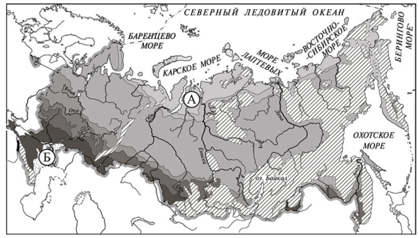 Карта природных зон России ВПР