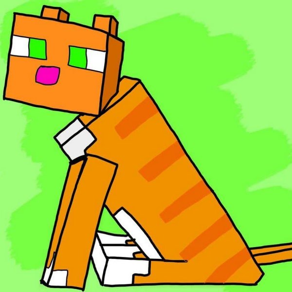 Кот майнкрафт
