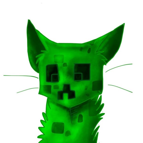 КРИПЕР кот