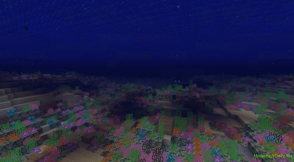 Coral Reef майнкрафт 1.16