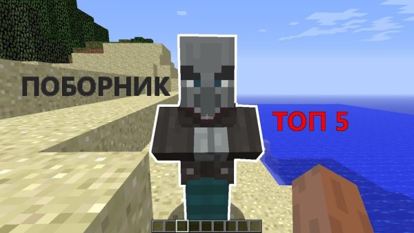 Поборник из МАЙНКРАФТА