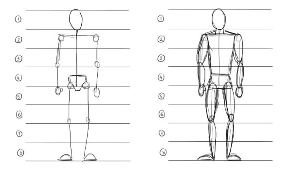 Пропорции тела человека рисунок