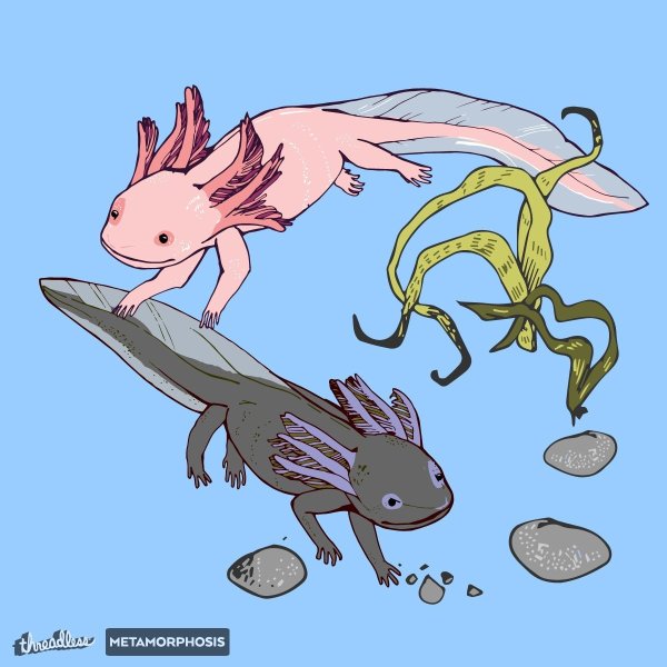 Аксолотль черный