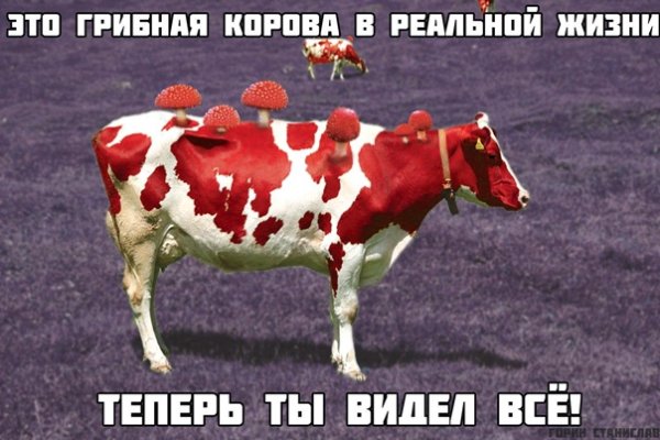 Грибная короватв реальной жизни