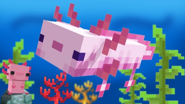 Аксолотль Minecraft