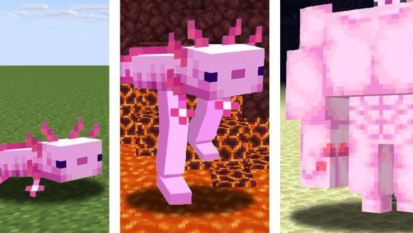 Лего аксолотль Minecraft