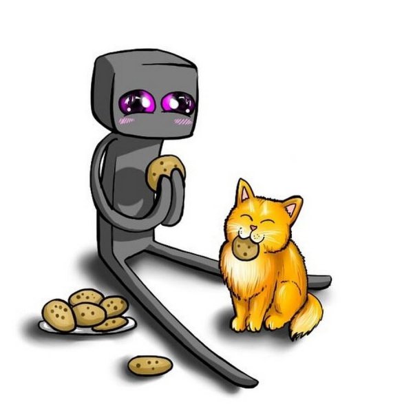 Котиков из МАЙНКРАФТА