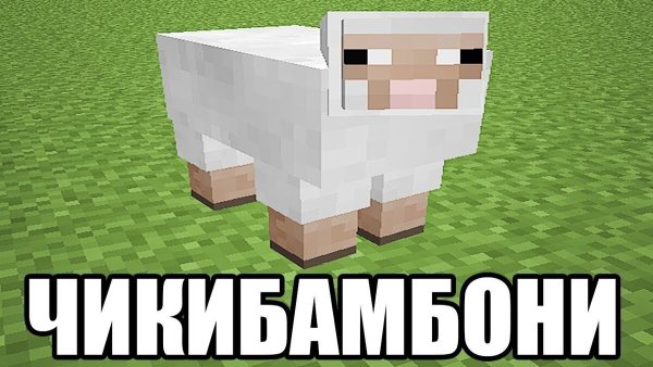 Чики Бамбони овца