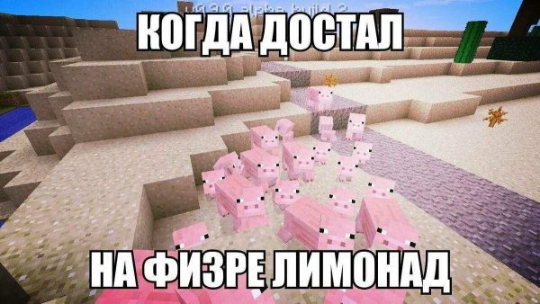 Майнкрафт Мем