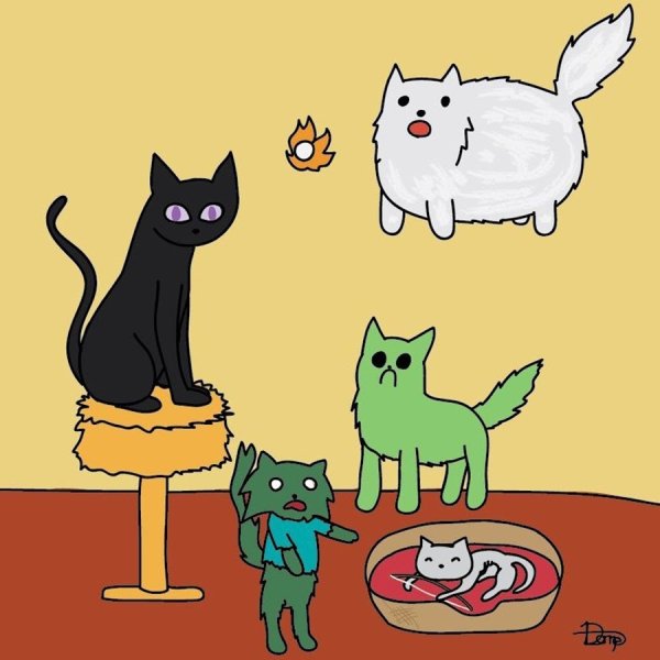 ЭНДЕР котик