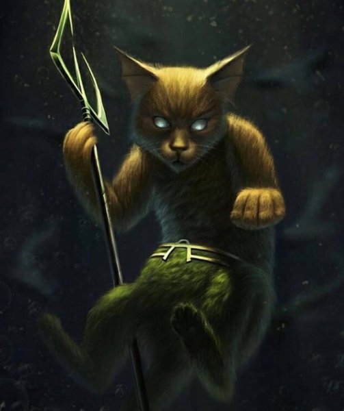 Кот герой