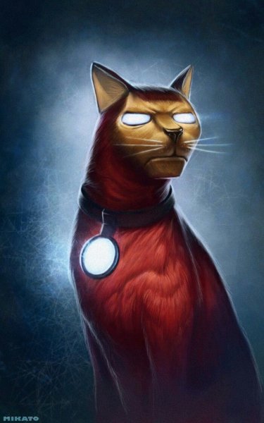 Коты Супергерои