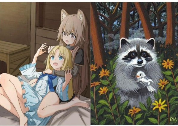 Енот аниме