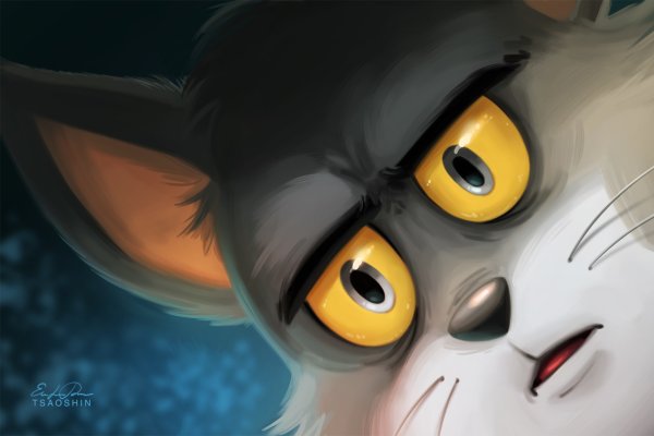 Кот Тайсон мультфильм