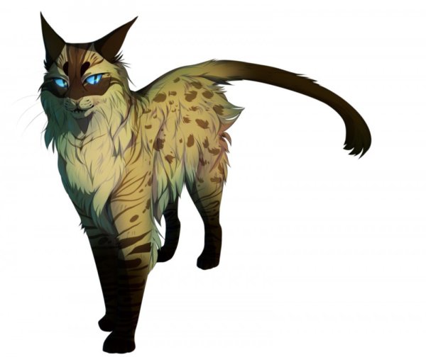 Коты Воители VANYCAT