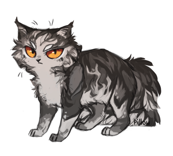 GRAYPILLOW коты Воители