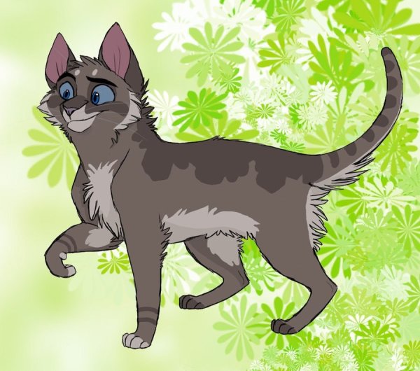Graystripe коты Воители