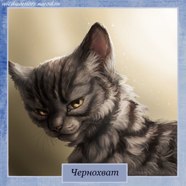 Коты Воители Чернохват