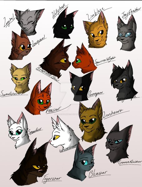Коты Воители персонажи и их имена