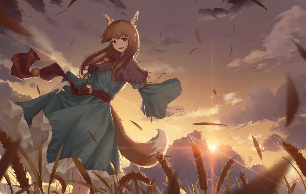 Холо Spice and Wolf