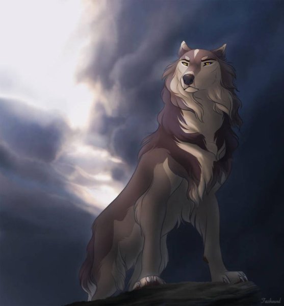 Tazihound стая