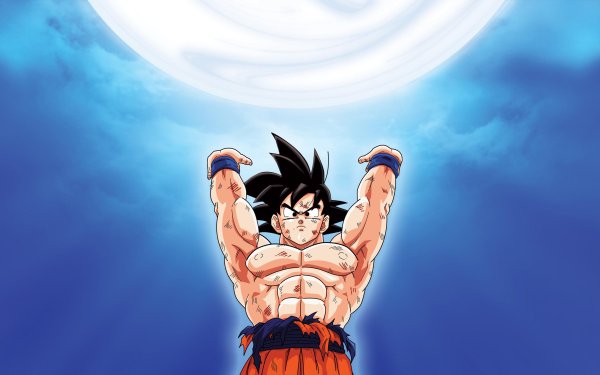 Don't look at her meme Goku